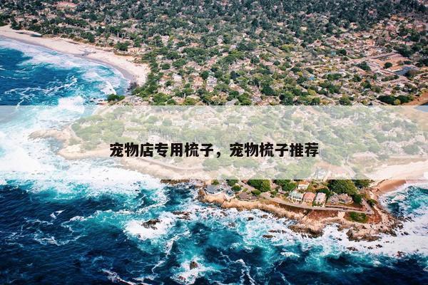宠物店专用梳子，宠物梳子推荐
