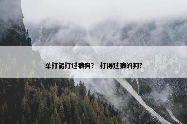 单打能打过狼狗？ 打得过狼的狗？