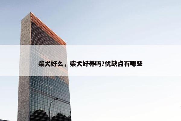 柴犬好么，柴犬好养吗?优缺点有哪些