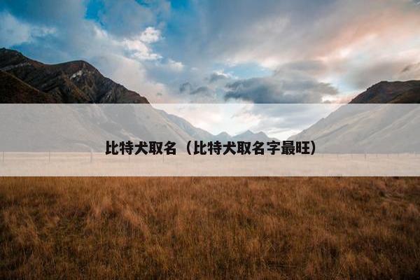 比特犬取名（比特犬取名字最旺）