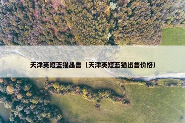 天津英短蓝猫出售（天津英短蓝猫出售价格）