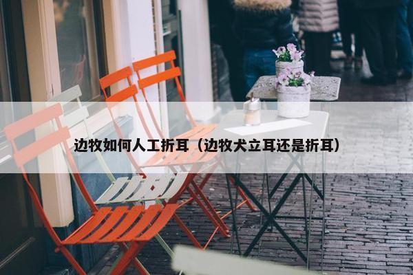 边牧如何人工折耳（边牧犬立耳还是折耳）
