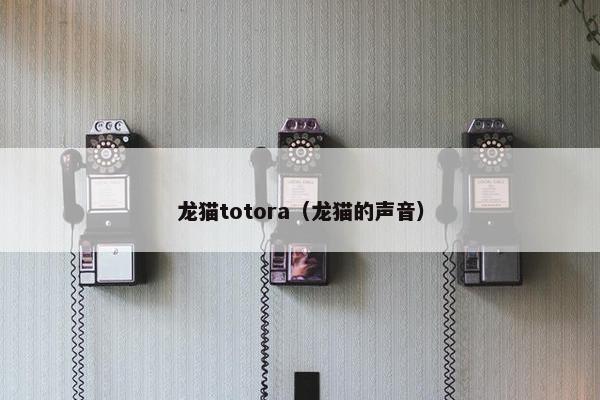 龙猫totora（龙猫的声音）