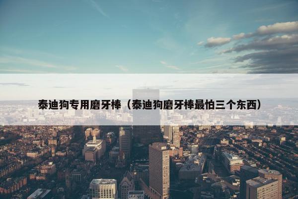 泰迪狗专用磨牙棒（泰迪狗磨牙棒最怕三个东西）