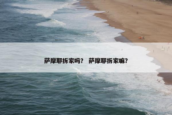 萨摩耶拆家吗？ 萨摩耶拆家嘛？