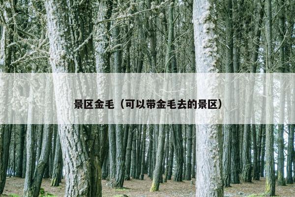 景区金毛（可以带金毛去的景区）