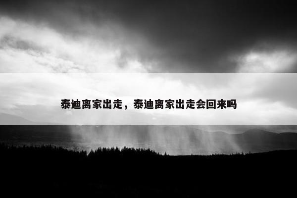 泰迪离家出走，泰迪离家出走会回来吗