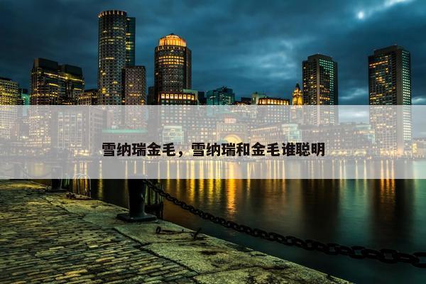 雪纳瑞金毛，雪纳瑞和金毛谁聪明