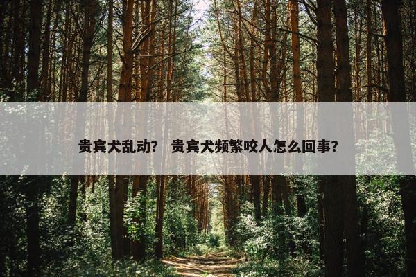 贵宾犬乱动？ 贵宾犬频繁咬人怎么回事？
