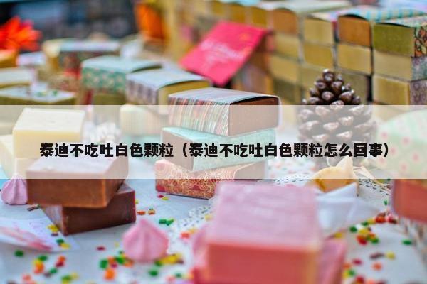 泰迪不吃吐白色颗粒（泰迪不吃吐白色颗粒怎么回事）