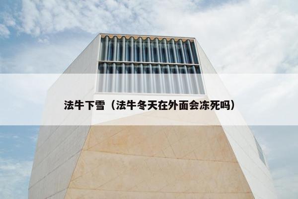 法牛下雪（法牛冬天在外面会冻死吗）