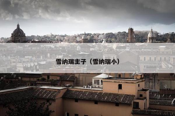 雪纳瑞主子（雪纳瑞小）