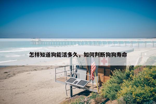怎样知道狗能活多久，如何判断狗狗寿命