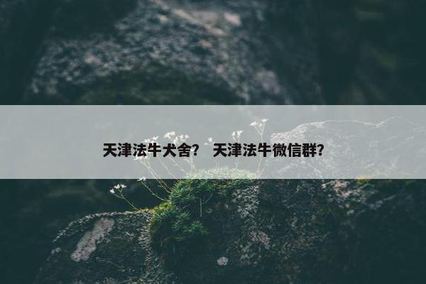 天津法牛犬舍？ 天津法牛微信群？