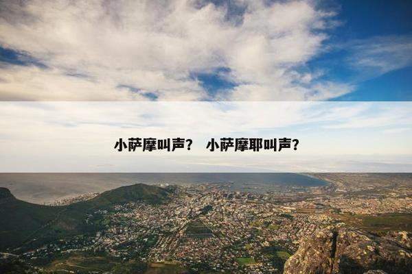 小萨摩叫声？ 小萨摩耶叫声？