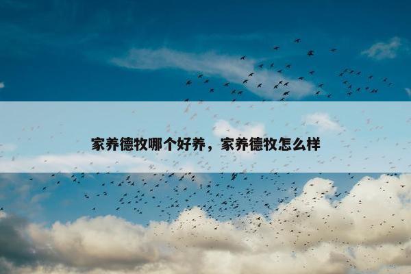 家养德牧哪个好养，家养德牧怎么样