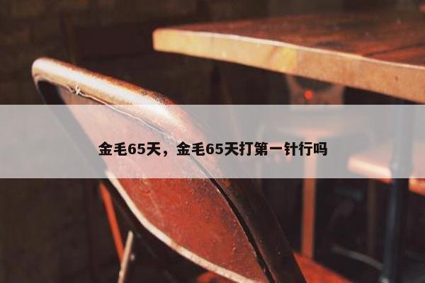 金毛65天，金毛65天打第一针行吗