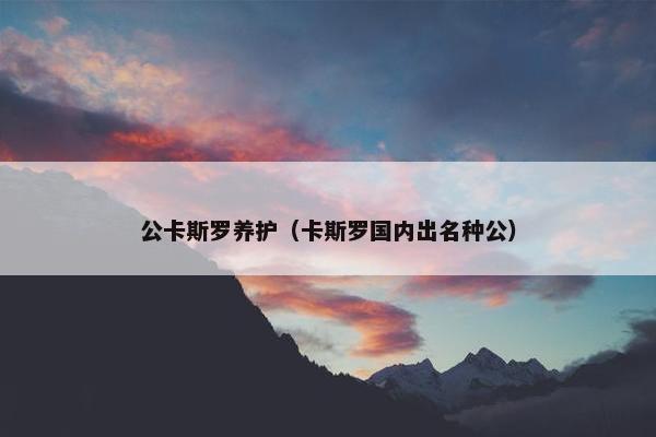 公卡斯罗养护（卡斯罗国内出名种公）