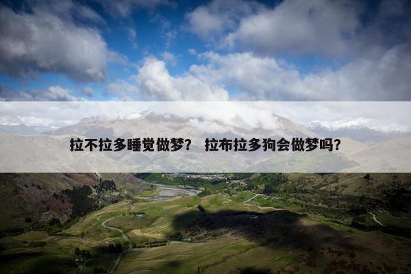 拉不拉多睡觉做梦？ 拉布拉多狗会做梦吗？