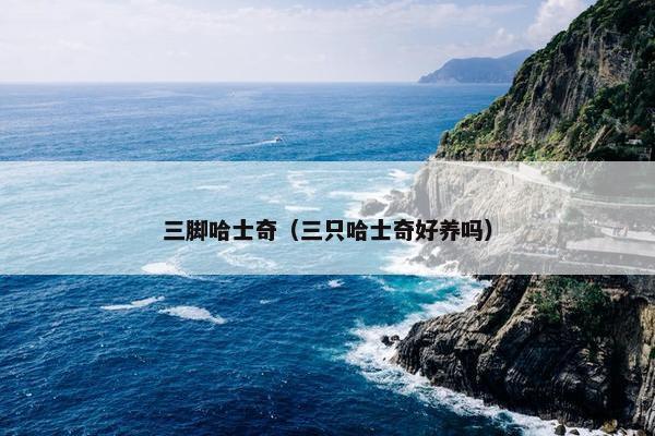 三脚哈士奇（三只哈士奇好养吗）