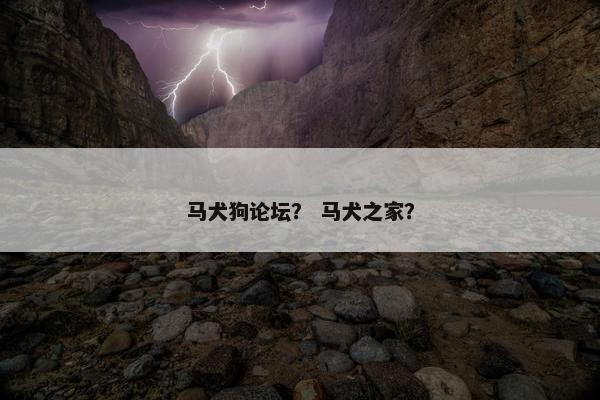马犬狗论坛？ 马犬之家？