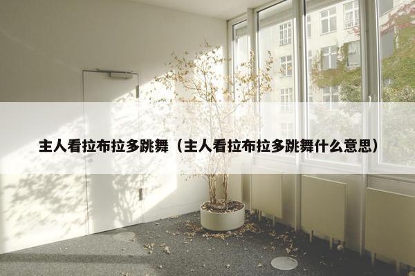 主人看拉布拉多跳舞（主人看拉布拉多跳舞什么意思）