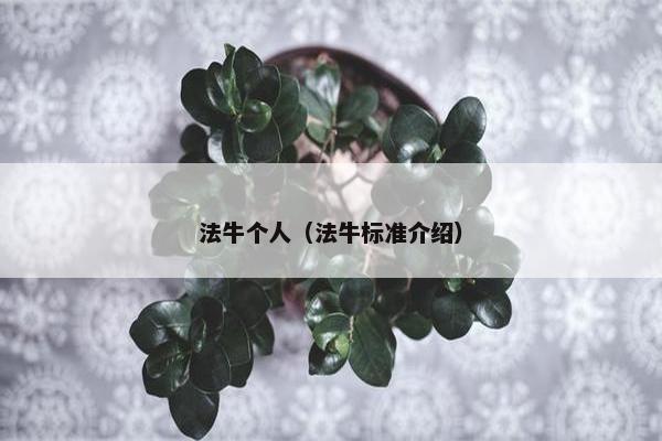 法牛个人（法牛标准介绍）