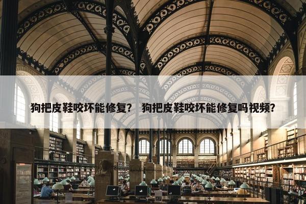 狗把皮鞋咬坏能修复？ 狗把皮鞋咬坏能修复吗视频？