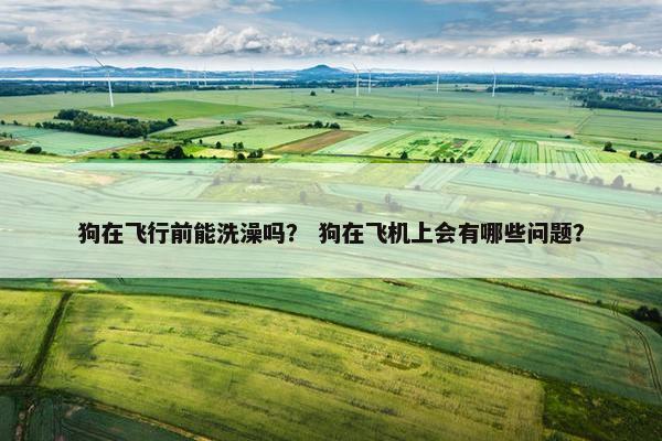 狗在飞行前能洗澡吗？ 狗在飞机上会有哪些问题？