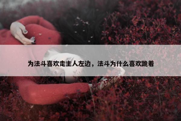 为法斗喜欢走主人左边，法斗为什么喜欢跪着