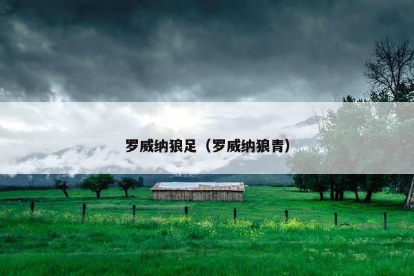 罗威纳狼足（罗威纳狼青）