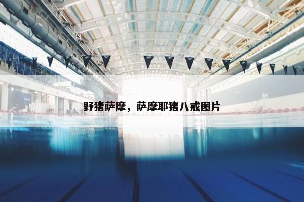 野猪萨摩，萨摩耶猪八戒图片