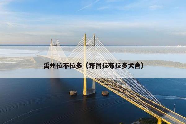 禹州拉不拉多（许昌拉布拉多犬舍）