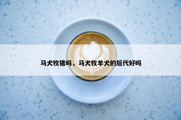 马犬牧猪吗，马犬牧羊犬的后代好吗