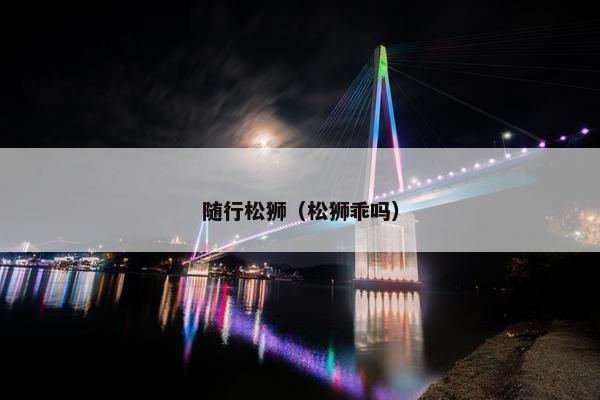 随行松狮（松狮乖吗）