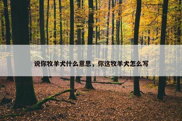说你牧羊犬什么意思，你这牧羊犬怎么写