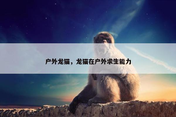 户外龙猫，龙猫在户外求生能力