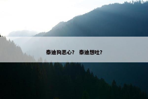 泰迪狗恶心？ 泰迪想吐？