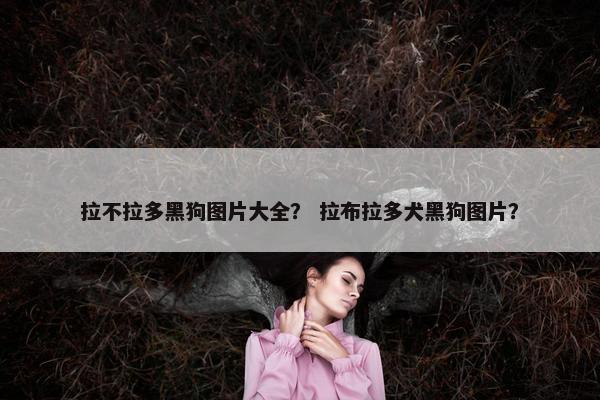 拉不拉多黑狗图片大全？ 拉布拉多犬黑狗图片？