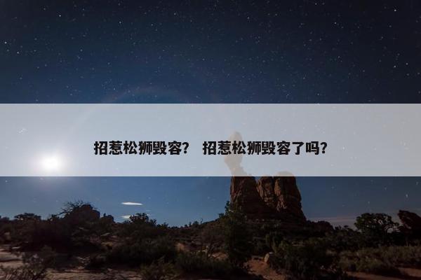 招惹松狮毁容？ 招惹松狮毁容了吗？