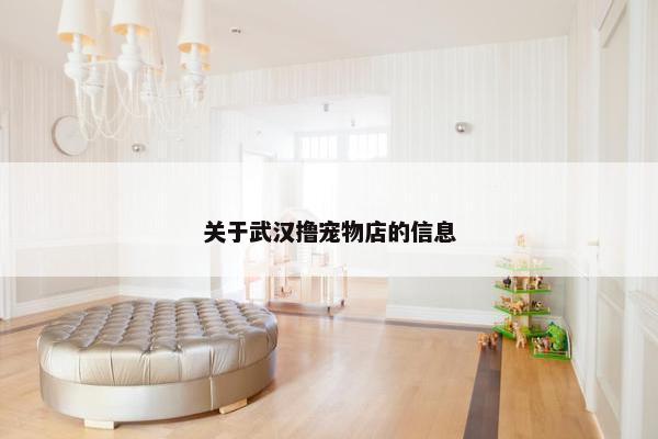 关于武汉撸宠物店的信息