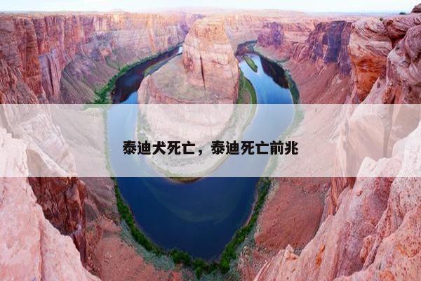 泰迪犬死亡，泰迪死亡前兆