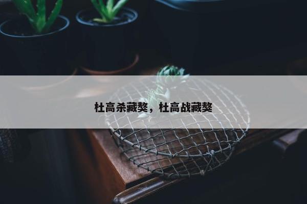 杜高杀藏獒，杜高战藏獒