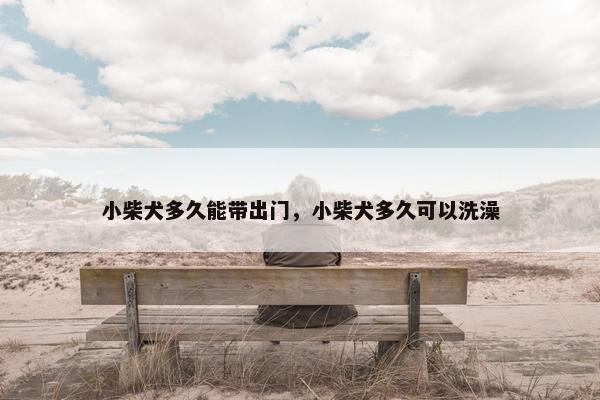 小柴犬多久能带出门，小柴犬多久可以洗澡