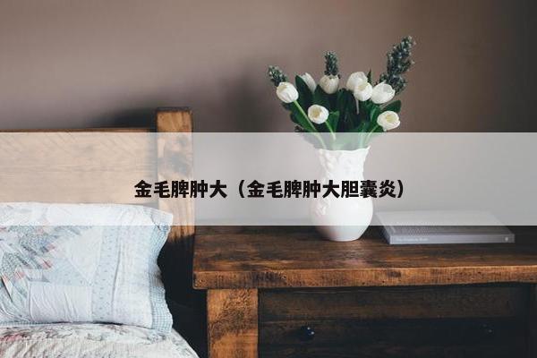 金毛脾肿大（金毛脾肿大胆囊炎）