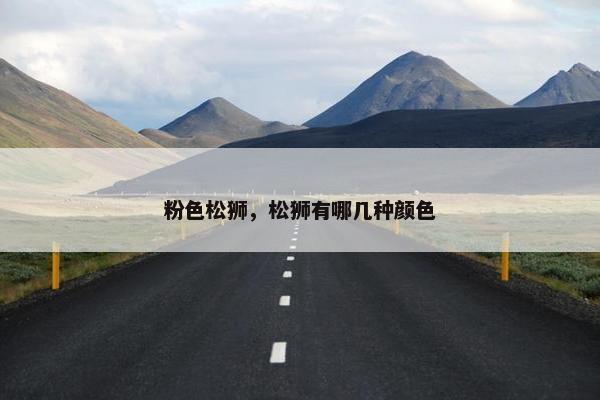 粉色松狮，松狮有哪几种颜色