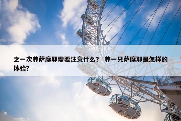 之一次养萨摩耶需要注意什么？ 养一只萨摩耶是怎样的体验？