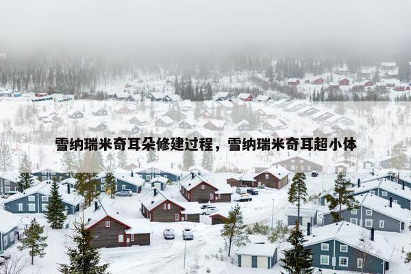 雪纳瑞米奇耳朵修建过程，雪纳瑞米奇耳超小体