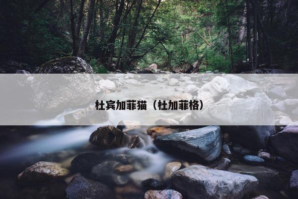 杜宾加菲猫（杜加菲格）