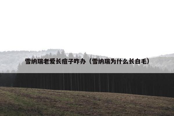 雪纳瑞老爱长痘子咋办（雪纳瑞为什么长白毛）